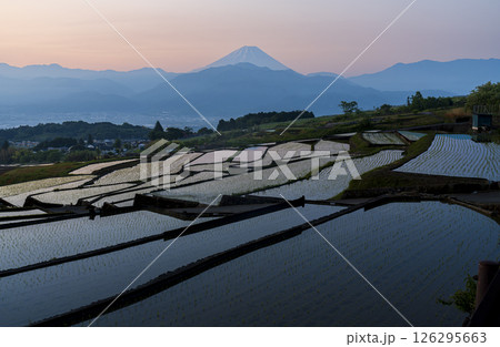 南アルプス市中野の棚田から夜明けの富士山 126295663