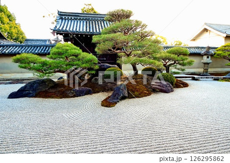 京都府 東寺 観智院・涅槃禄の庭「長者の庭」枯山水 京都市 南区 九条町 2022年2月 京都府 東寺 観智院・涅槃禄の庭「長者の庭」枯山水 京都市 南区 九条町 2022年2月 126295862