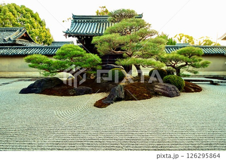 京都府　東寺 観智院・涅槃禄の庭「長者の庭」枯山水 京都市 南区 九条町　2022年2月 126295864