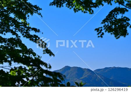 木々の間から見える清々しい山並の眺め 秩父高原牧場付近の風景 木々の間から見える清々しい山並の眺め 秩父高原牧場付近の風景 126296419