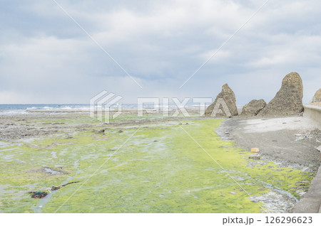 佐渡　沢崎海岸 126296623