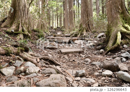 金時山登山 金時山登山 126296643