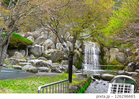 山中湖 花の都公園の景色 山中湖 花の都公園の景色 126296665