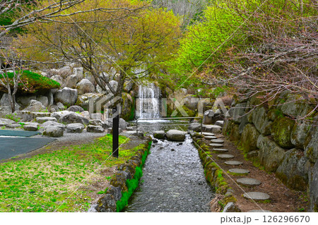 山中湖　花の都公園の景色 126296670