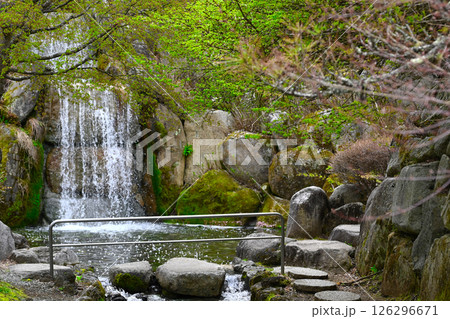 山中湖　花の都公園の景色 126296671