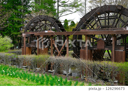 山中湖 花の都公園の景色 山中湖 花の都公園の景色 126296673