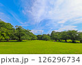 爽やかな青空と新緑 126296734