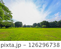 爽やかな青空と新緑 126296738