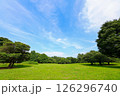 爽やかな青空と新緑 126296740