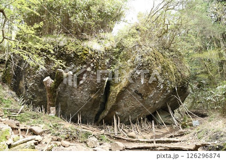 金時山登山 公時の宿石(きんときのやどりいし) 金時山登山 公時の宿石(きんときのやどりいし) 126296874