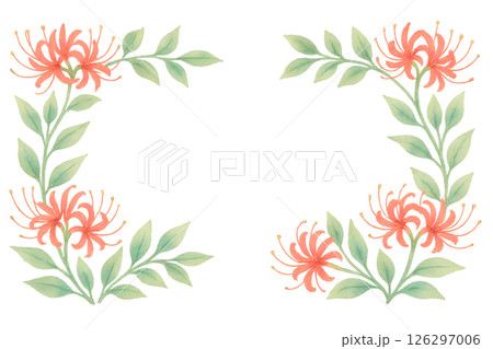 水彩のリコリス（彼岸花）フレーム  切り抜き背景 126297006