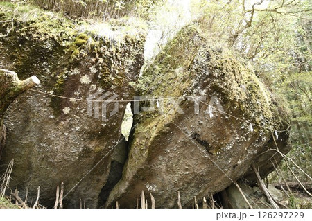 公時の宿り石 126297229