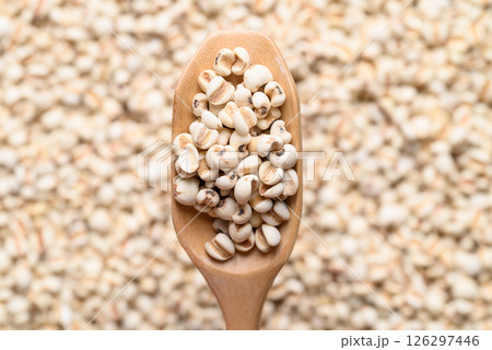 Dried Job's tears or adlay millet seeds in wooden scoop, Food ingredient, Top view Dried Job's tears or adlay millet seeds in wooden scoop, Food ingredient, Top view 126297446