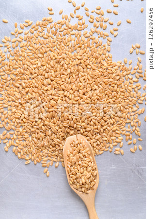 Whole wheat grain with wooden scoop, Food ingredient, Top view Whole wheat grain with wooden scoop, Food ingredient, Top view 126297456