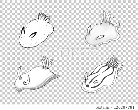 海蛞蝓單色插圖集 126297791