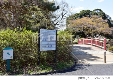 横浜市　こども自然公園の朱色の橋と新緑 126297806