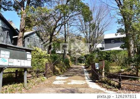 横浜市 こども自然公園の青少年野外活動センターと新緑 横浜市 こども自然公園の青少年野外活動センターと新緑 126297811