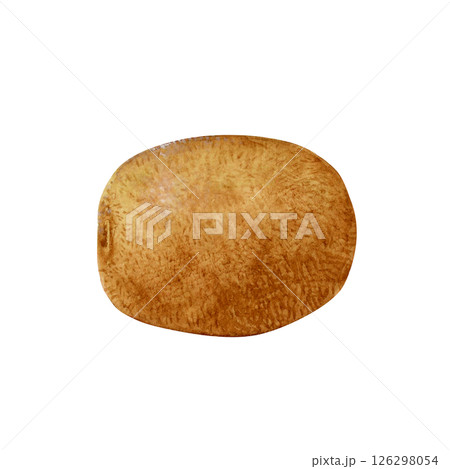 キウイフルーツ　果物　水彩 イラスト 126298054