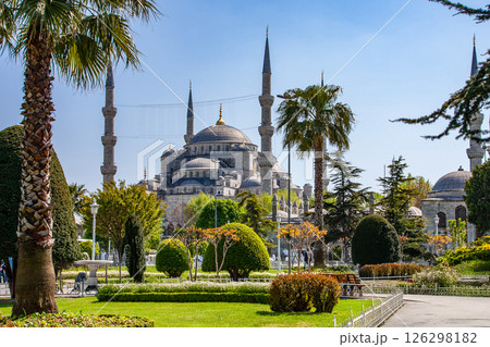 ブルーモスク 126298182