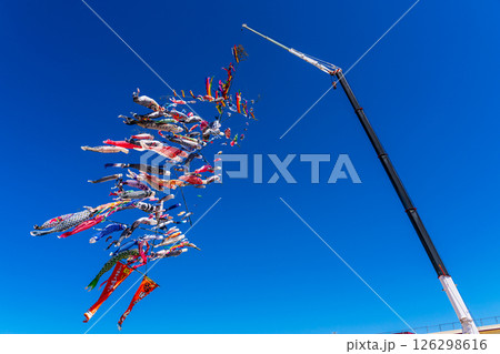 戸町中学校のクレーン鯉のぼり【長崎市】 126298616