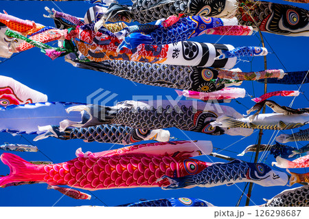 戸町中学校のクレーン鯉のぼり【長崎市】 126298687