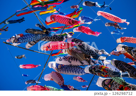 戸町中学校のクレーン鯉のぼり【長崎市】 126298712