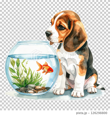 一隻小獵犬小狗看著金魚缸的復古插圖 1 / 傳單或海報材料 一隻小獵犬小狗看著金魚缸的復古插圖 1 / 傳單或海報材料 126298800