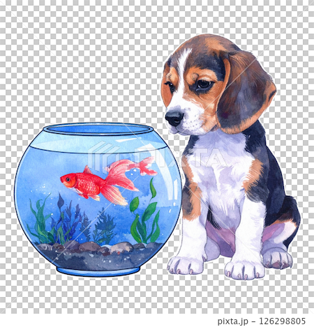 金魚鉢を見るビーグルの子犬のレトロなイラスト6／チラシやポスター用素材 126298805