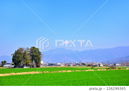 《長野県》松本市　春の田んぼと残雪の北アルプス 126299365