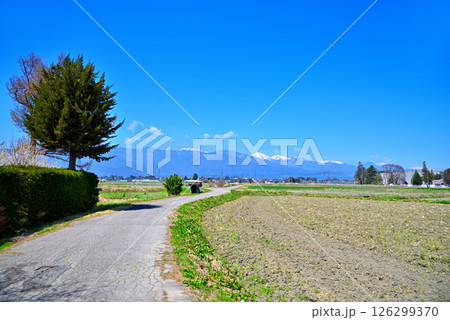 《長野県》松本市　春の田んぼと残雪の北アルプス 126299370