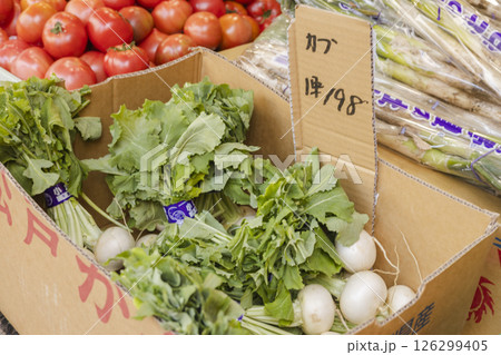 カブ　店頭販売　八百屋　 126299405