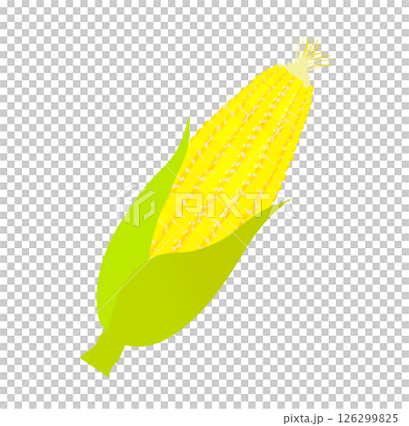 玉米的插圖 玉米的插圖 126299825