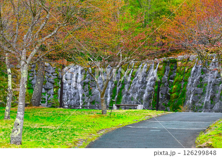 山中湖 花の都公園の景色 山中湖 花の都公園の景色 126299848