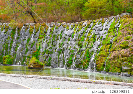 山中湖 花の都公園の景色 山中湖 花の都公園の景色 126299851