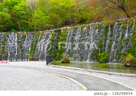山中湖 花の都公園の景色 山中湖 花の都公園の景色 126299854