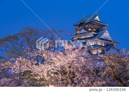 夜の大阪城天守閣　ライトアップされた夜桜 126300106