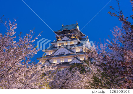 夜の大阪城天守閣　ライトアップされた夜桜 126300108