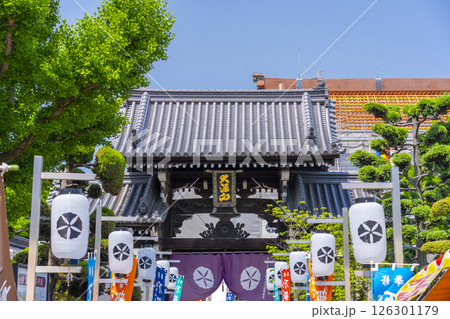 大念佛寺　山門（大阪市平野区） 126301179
