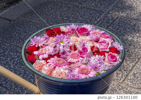 大念佛寺 奉納花手水(大阪市平野区) 大念佛寺 奉納花手水(大阪市平野区) 126301180
