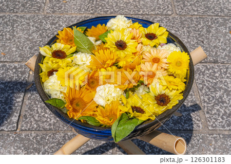 大念佛寺　奉納花手水（大阪市平野区） 126301183