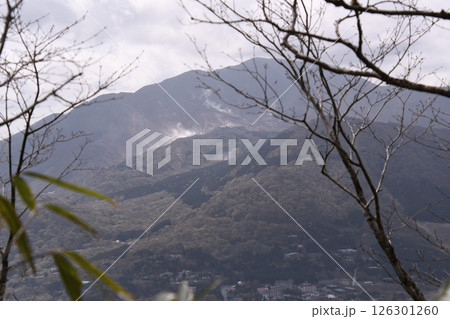 金時山から見た大涌谷 126301260
