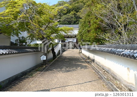 龍野城　城内風景 126301311