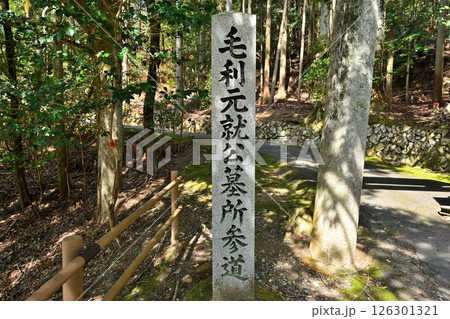 毛利元就の公墓がある「安芸郡山城」　曲輪群の様子 126301321