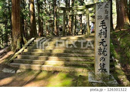 毛利元就の公墓がある「安芸郡山城」 曲輪群の様子 毛利元就の公墓がある「安芸郡山城」 曲輪群の様子 126301322