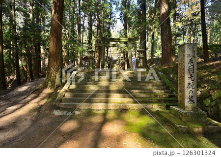 毛利元就の公墓がある「安芸郡山城」　曲輪群の様子 126301324