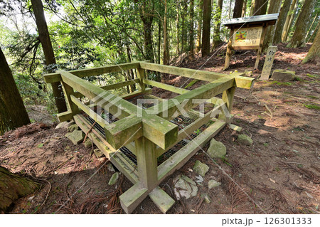 毛利元就の公墓がある「安芸郡山城」 曲輪群の様子 毛利元就の公墓がある「安芸郡山城」 曲輪群の様子 126301333