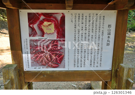 毛利元就の公墓がある「安芸郡山城」　曲輪群の様子 126301346