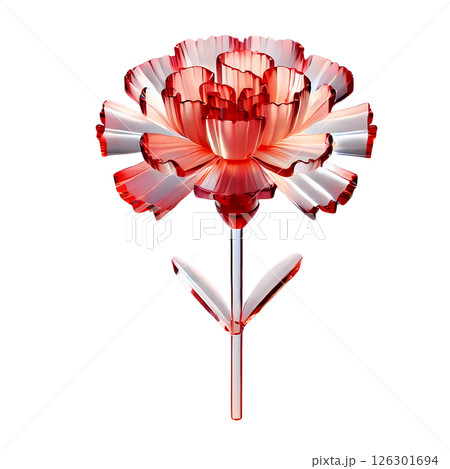 red carnation  126301694