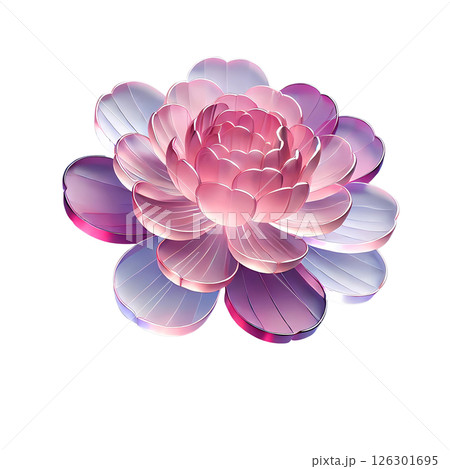 pink peony flower  126301695