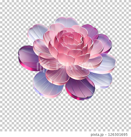 pink peony flower  126301695